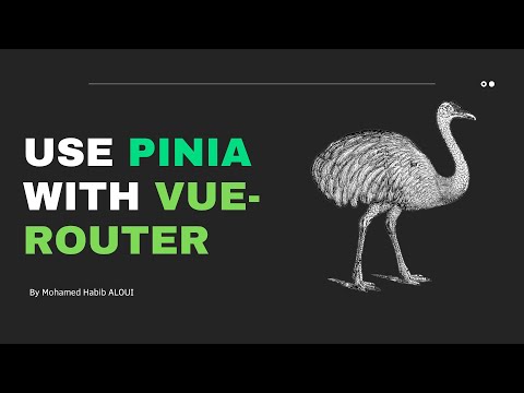 Use Pinia with vue-router 🍍