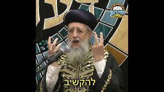 להקשיב אחד לשני! I מרן הראשון לציון הגאון הגדול הרב דוד יוסף שליט"א #נישואין #שלוםבית #שלום_בית (מוסדות יחווה דעת) - התמונה מוצגת ישירות מתוך אתר האינטרנט יוטיוב. זכויות היוצרים בתמונה שייכות ליוצרה. קישור קרדיט למקור התוכן נמצא בתוך דף הסרטון