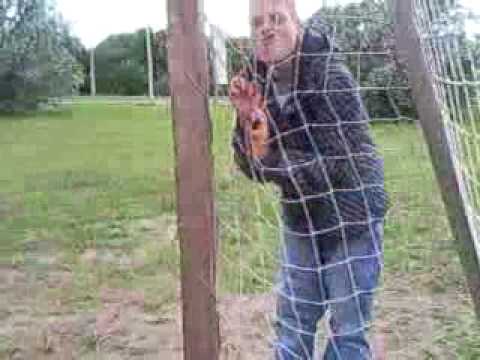 Annelinna Ghetto Jalgpallurid