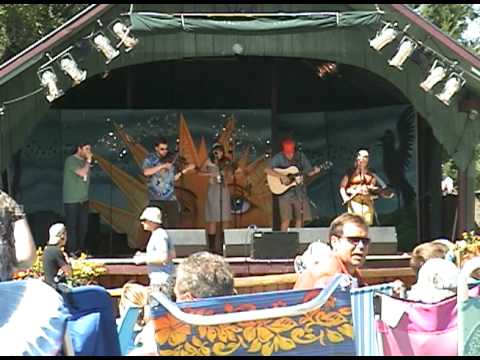 Blue Moose and the Unbuttoned Zippers with Steve Foxx at Blissfest 2009 playing Roustabout