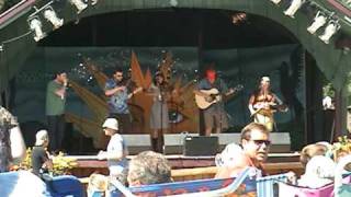 Blue Moose and the Unbuttoned Zippers with Steve Foxx at Blissfest 2009 playing Roustabout