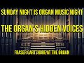 The Organ's Hidden Voices: A Sonic Expedition of Unique Stops