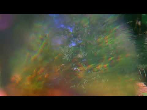 grayera - if only your best was good enough