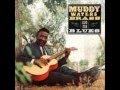 Muddy Waters / Brass And The Blues / Sweet Little Angel
