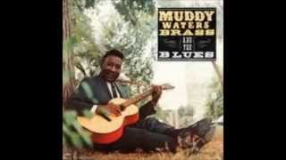 Muddy Waters / Brass And The Blues / Sweet Little Angel