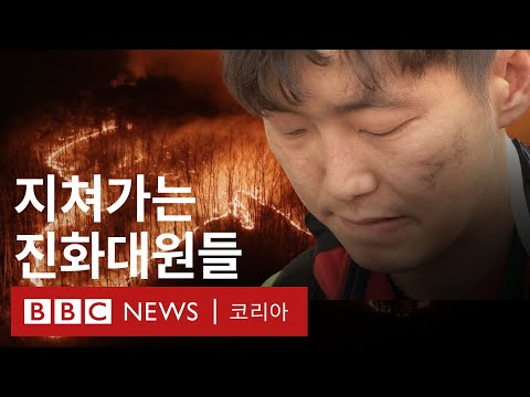 역대 최악의 피해 '괴물 산불', 왜 진압이 어려운가? - BBC News 코리아