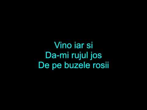 Mircea Eremia feta Bianca - Interzis (lyrics)