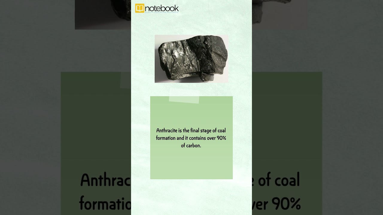 CBSE Class 8 Science | Chapter Coal and Petroleum | Fun Learning with Notebook