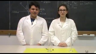 Gli scherzi della luce - VideoLab Fisica 2016