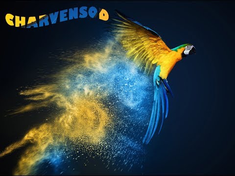 Asd Charvansod  Premiazione Croazia 2019 U15