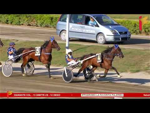 V Corsa del 30 Settembre 2023 - 4 Anni - Metri 1600