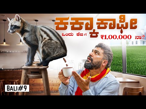 I MET THE CAT that makes d Worlds most expensive coffee | Global Kannadiga