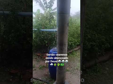 bastante chuva em pentecoste, interior do Ceará🌧🌧🌨🌵🇧🇷