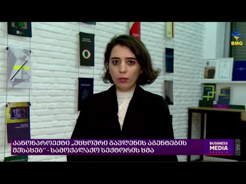 თამთა მიქელაძე კანონპროექტზე "უცხოური გავლენის აგენტების" შესახებ