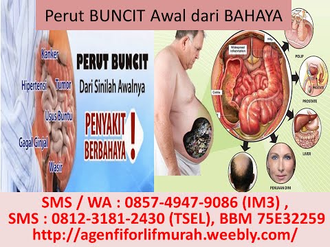 Bagaimana membangkitkan seorang wanita dengan ciuman Peningkatan anggota hormon pertumbuhan
