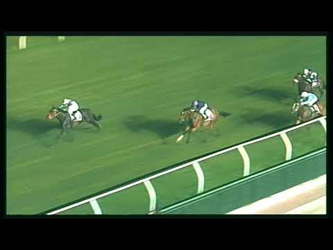 Galoppo 26/08/2020 - 5ª corsa