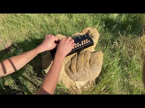 Organelle S - Dark Ambient Drone in the Stonefield