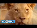 Ben Mbatha Kativui Mweene Mundu Wa Kitai Official Video