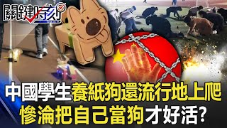 [問卦] 為啥中國學生開始學狗爬啊?