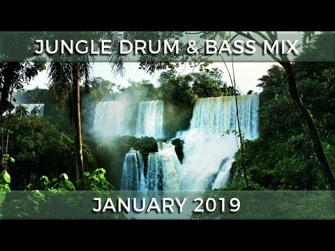 ► Jungle Drum & Bass Mix - January 2019