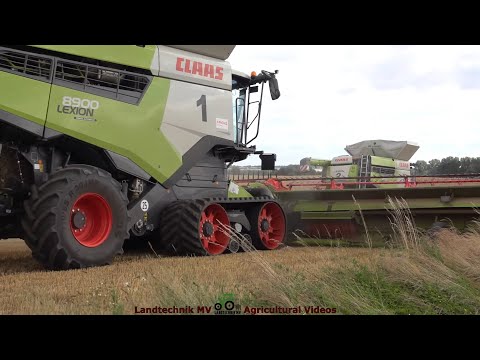 Claas - Fendt - Hawe / Getreideernte - Grain Harvest