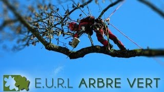 preview picture of video 'EURL Arbre-Vert / Elagage et abattage toute hauteur'