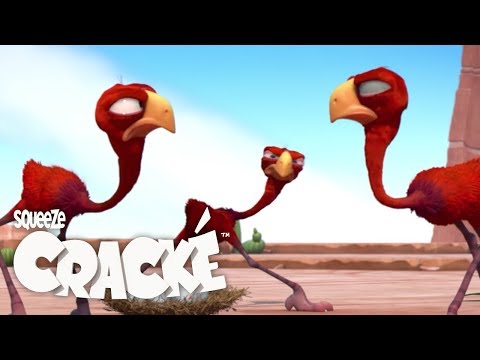 CRACKE - BIRD FIGHT | Cartoon Animation | Compilation