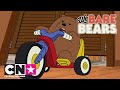 Wat Beren Leren | Over het ontstaan van Grizz | Cartoon Network
