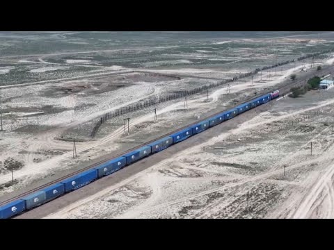 Хабаровск: Дәл қазір көлікте арзан минет