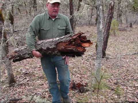 Homestead Land Management