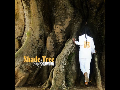 Rocky Dawuni "Shade Tree" (Offical Music Video)