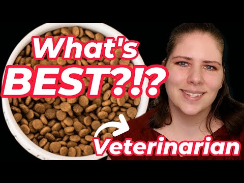 What's the BEST Food for Your Dog and Cat? | A Veterinarian Explains (Pet Nutrition Part I)