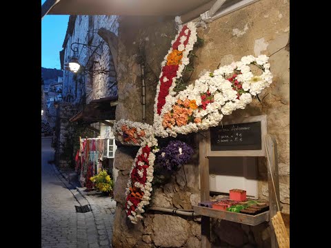 Festival Tourettes Sur Loup Violeta 2019