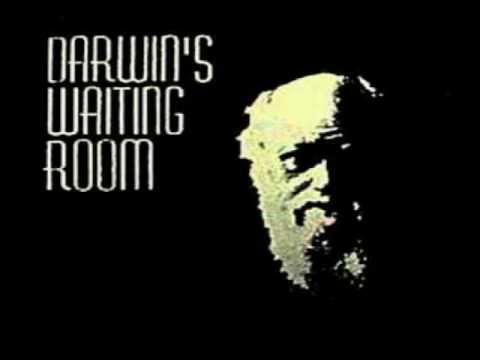 Darwin's Waiting Room - I'm The Cracker That You Can't Crunch