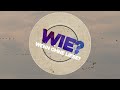 Rio Reiser - Wann? (LIZOT Remix)