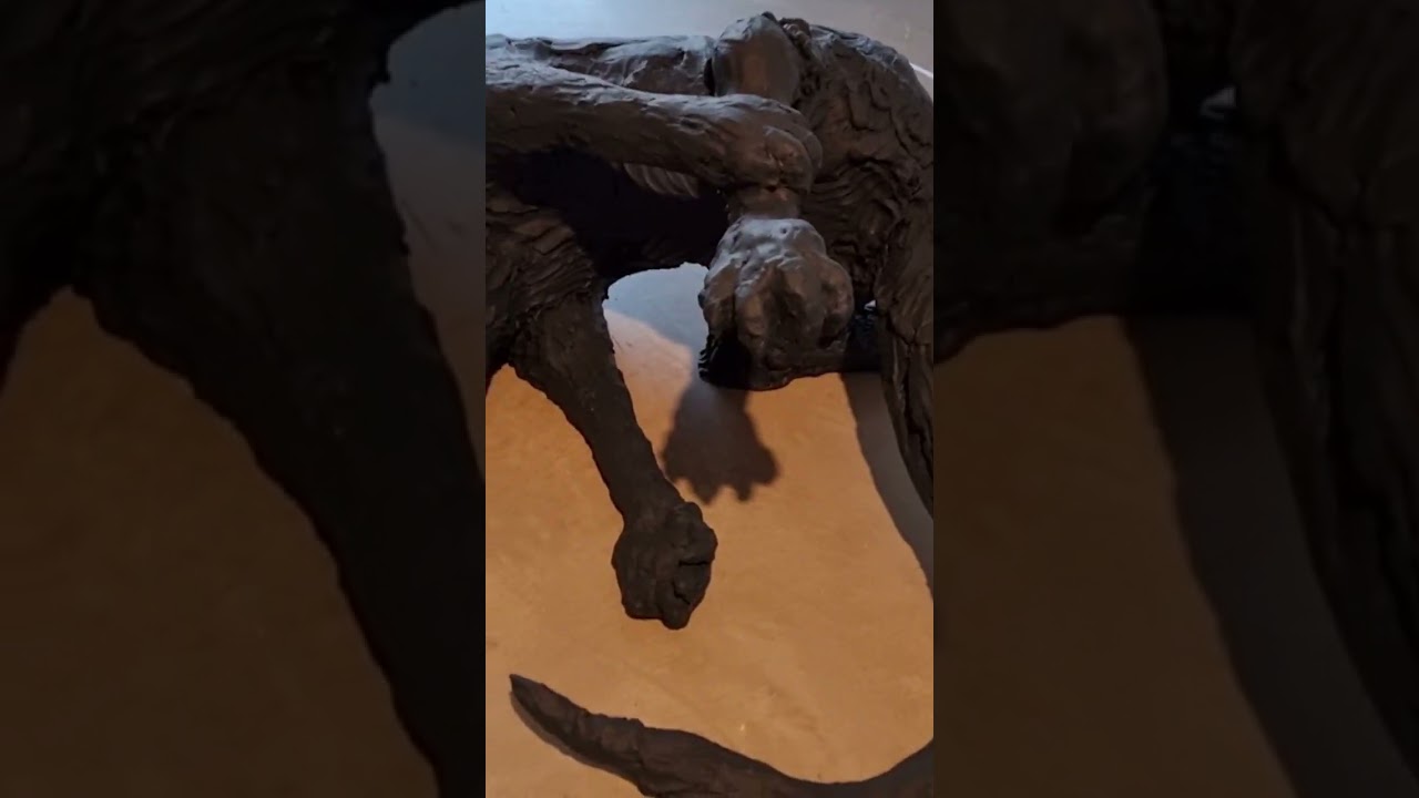 GALLERY STUDIO 2 CONTENT