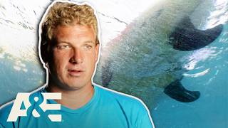 A Great White Shark Grabbed His Entire Body & He Still Survived | I Survived | A&E
