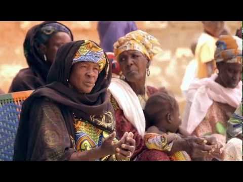 No Land No Food No Life