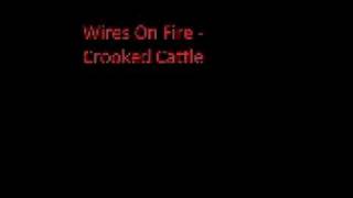 Wires On Fire - Crooked Cattle