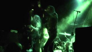 In Solitude Lavender