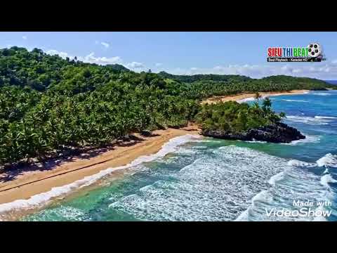 Lối cũ xuân về - Lý Công