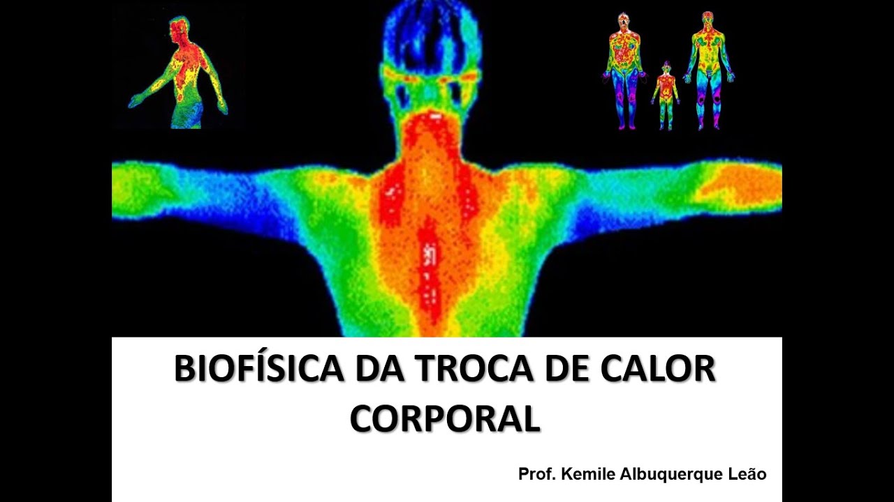 Biofísica das trocas de calor