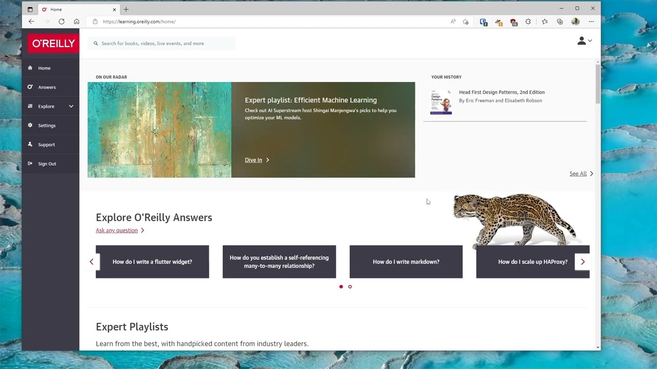 TechEduTips - O'Reilly Learning
