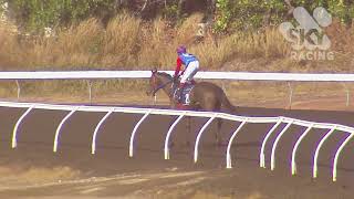 Código u1324 Citroen Interpretación