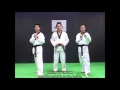Taekwondo Combat Tutorial Vol 1 Basic Skills