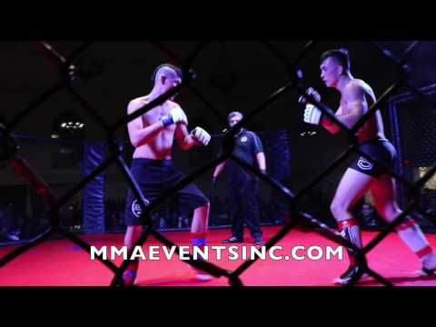 MMA EVENTS INC. MICHAEL STAFFORD VS  BRIAN HAYLES