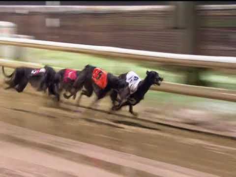 2017 GMG OAKS FINAL - T5 WUHEIDA