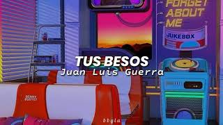 Tus Besos- Juan Luis Guerra; Letra