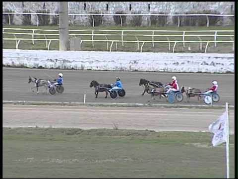 Trotto 15/02/2015 -  corsa pony