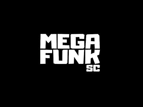 MEGA FUNK DJFLAVIMDUGRAUX SET 1.0